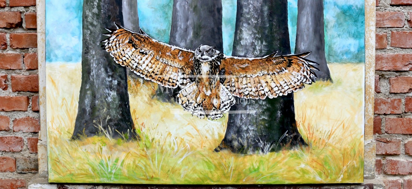 Tablou panza "Big Owl"