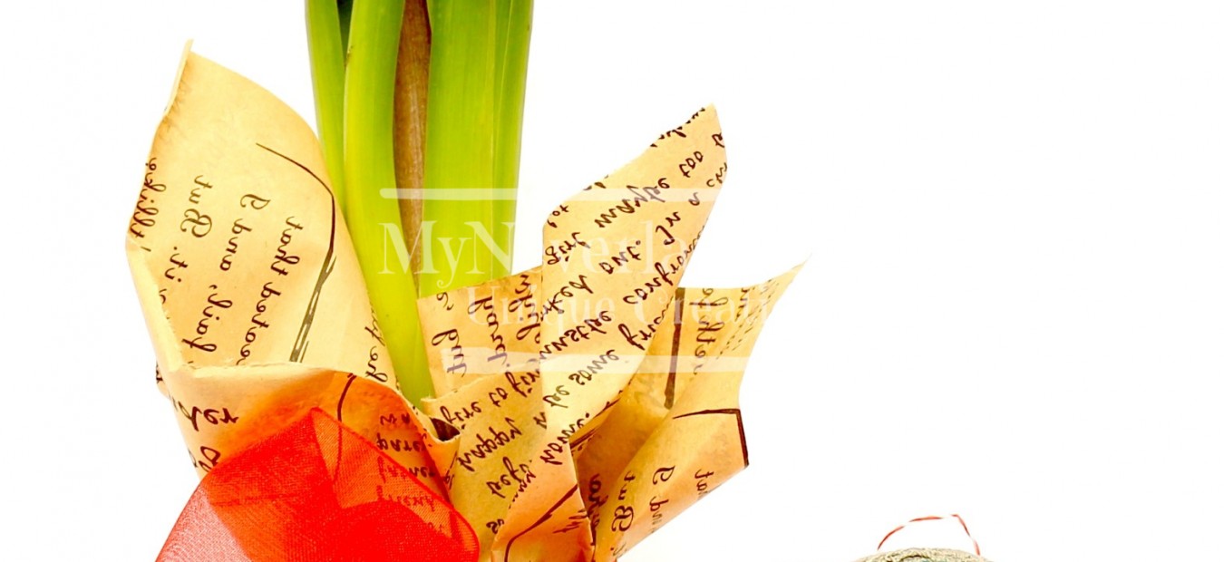 Set Martisor Zambila + Brosa cusuta manual "Flower"