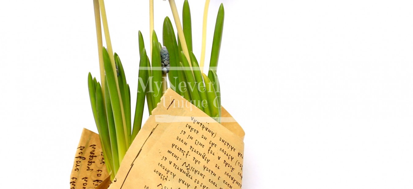 Set  Martisor Planta Muscari + Brosa cusuta manual "Etno"