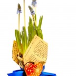 Set Martisor Planta Muscari + Colier "Heart"