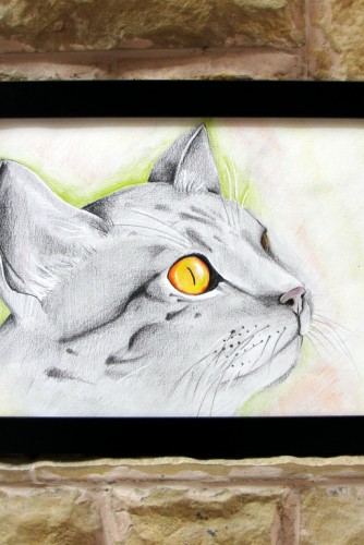 Ilustratie "Grey Cat"